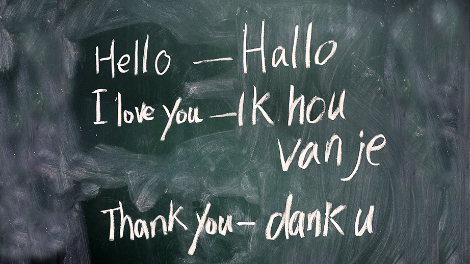 Op een krijtbord staan woorden in het Engels en een vertaling in het Nederlands. Hello – hallo. I love You – ik hou van je. Thank you – dank u. Het zijn basiswoorden voor Nederlands tweede taal leert.