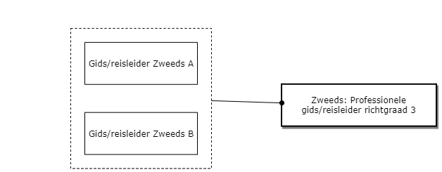 Zweeds: Professionele gids/reisleider richtgraad 3 diagram image
